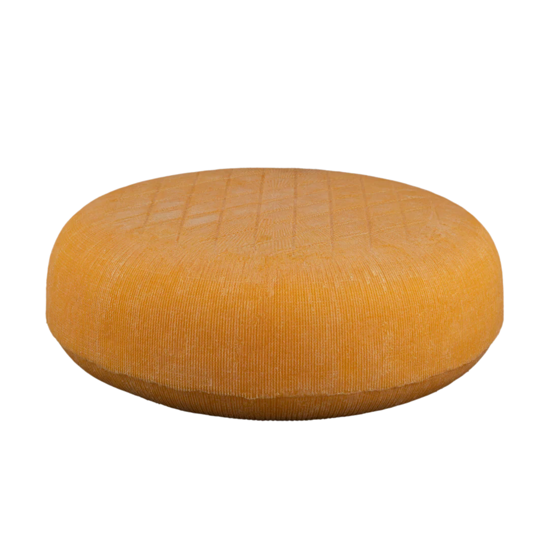 Le Fin Renard - Image 4